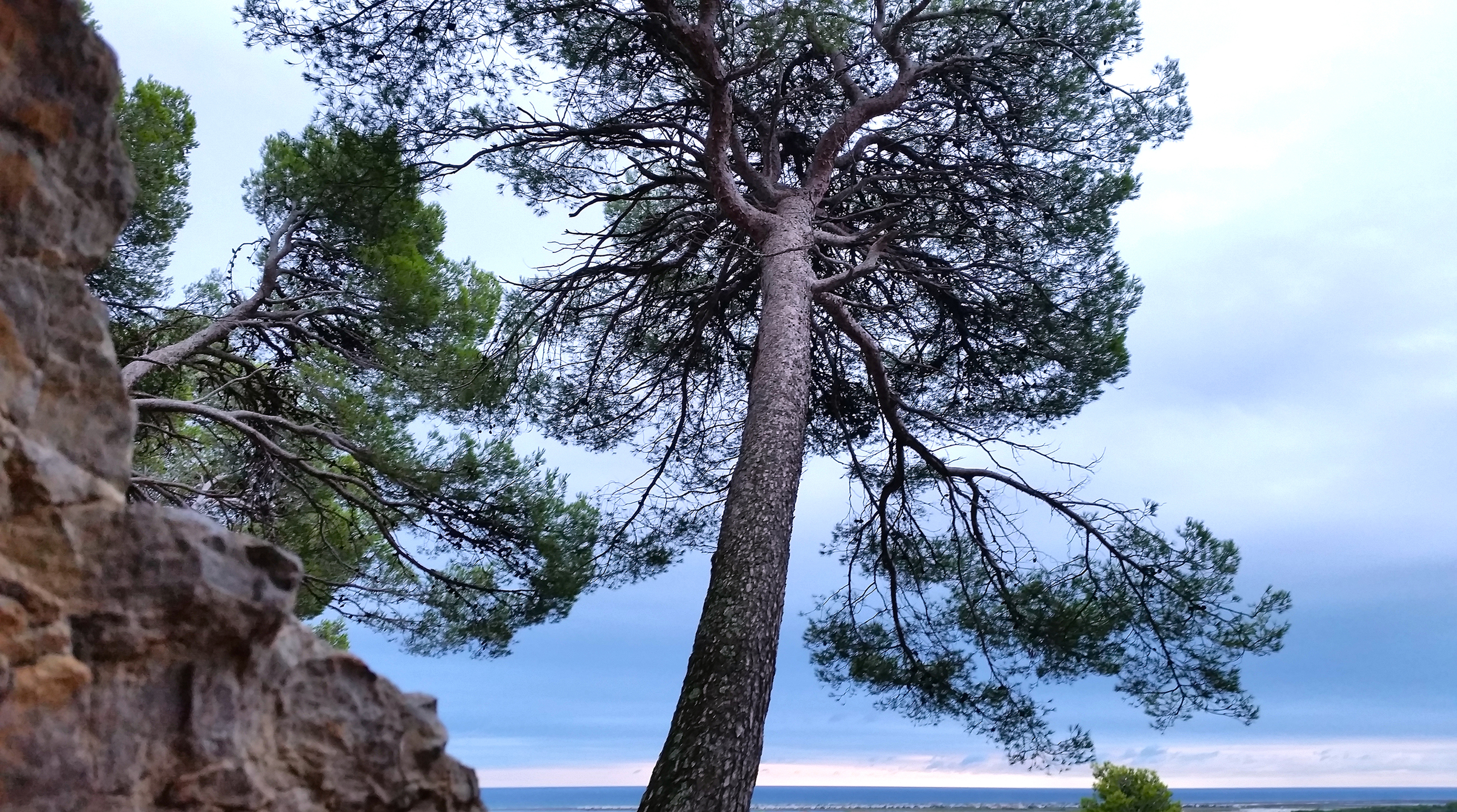 Bild zum Film Leben - Engel der Natur